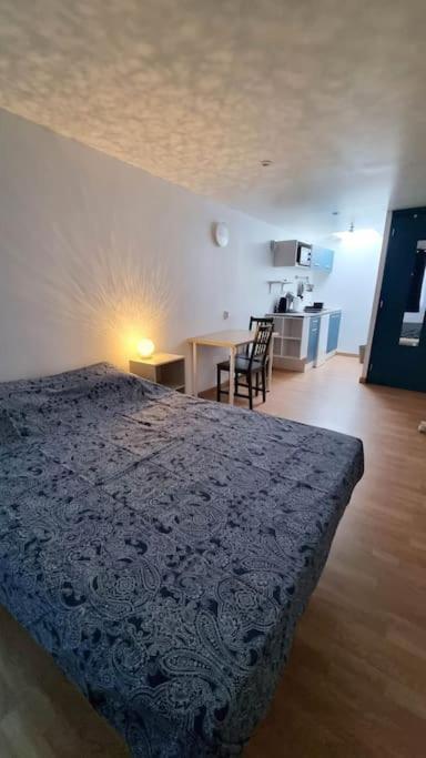 Studio En Rez De Jardin Avec Terrasse Privee - Le Petit Chateau Avesnois - Tv - Wifi - Logement Complet Avesnes-sur-Helpe Εξωτερικό φωτογραφία
